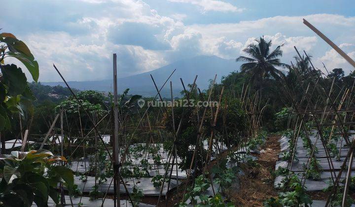 Tanah+gazebo Murah Sangat Strategis View Lepas Ke Gunung  1