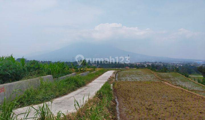 Tanah sawah untuk villa+rumah sangat strategis view lepas gunung 1