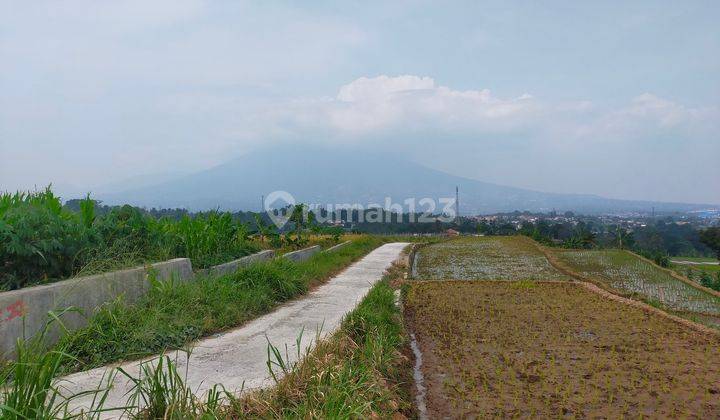 Tanah sawah untuk villa+rumah sangat strategis view lepas gunung 2