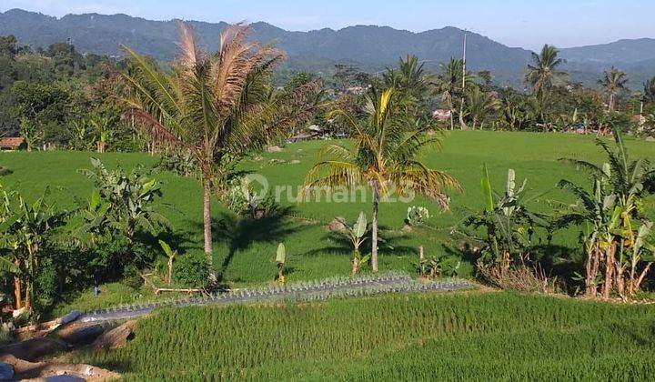 Tanah sawah sangat strategis view lepas ada kali sungai  2