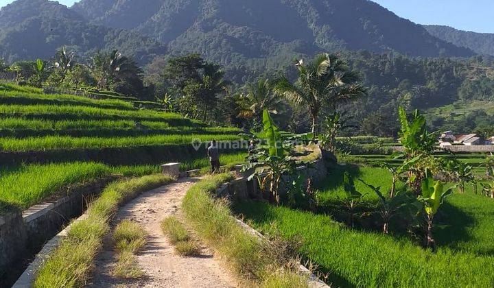 Tanah sawah sangat strategis view lepas ada kali sungai  1