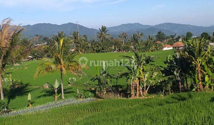 Tanah sawah sangat strategis view lepas ada kali sungai  2