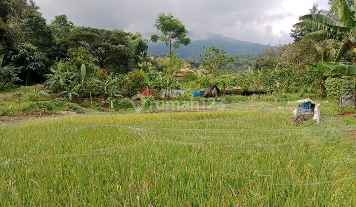 Tanah untuk villa+cafe resto view lepas ke gunung nempel kali 1