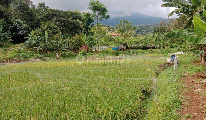 Tanah untuk villa+cafe resto view lepas ke gunung nempel kali 2