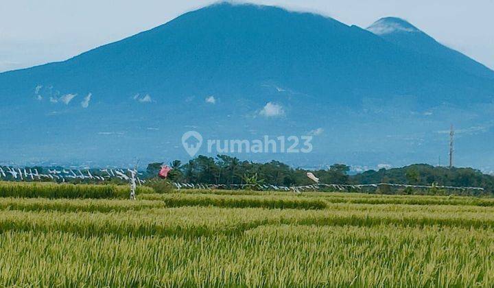 Tanah untuk investasi+pertanian sawah sangat strategis digeopak 1