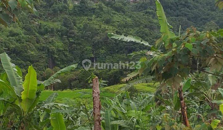 Tanah rata untuk villa+rumah view lepas strategis nempel sungai 1