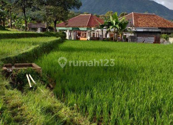 Tanah sawah untuk villa+rumah view lepas gunung sangat strategis  1