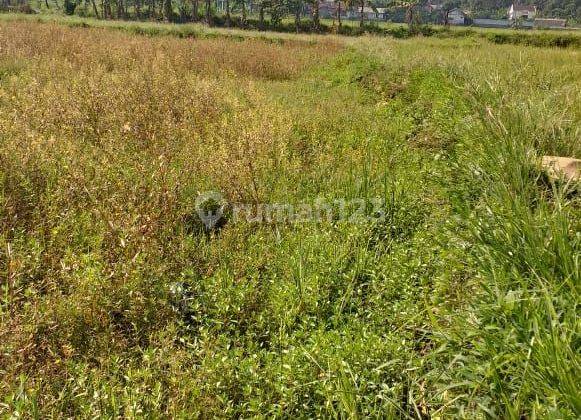 Tanah rata rumah+gazebo nempel kali sungai view lepas ke gunung  1