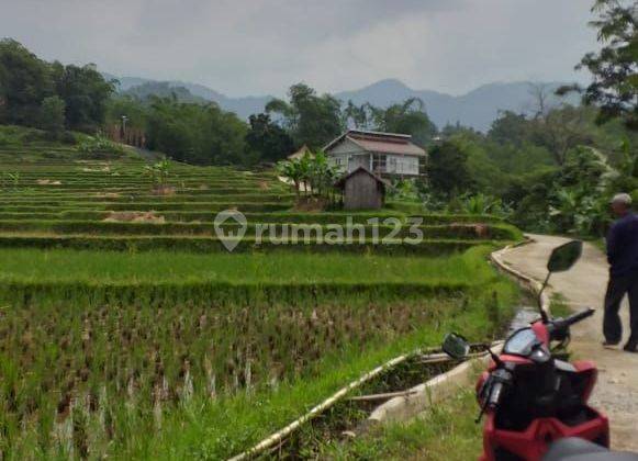 Tanah sawah rata untuk villa+gazebo view lepas ke gunung  1