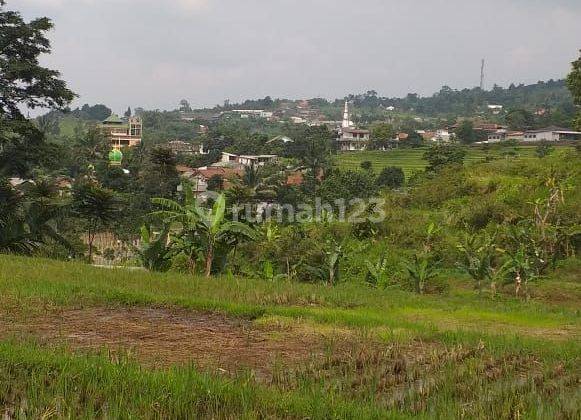 Tanah sawah rata untuk villa+gazebo view lepas ke gunung  2