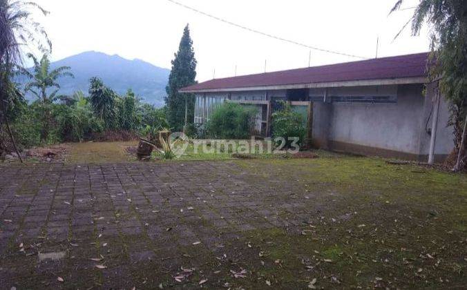 Tanah produktif kebun durian+villa siap huni strategis full view  1