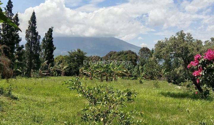 Tanah produktif kebun durian+villa siap huni strategis full view  2