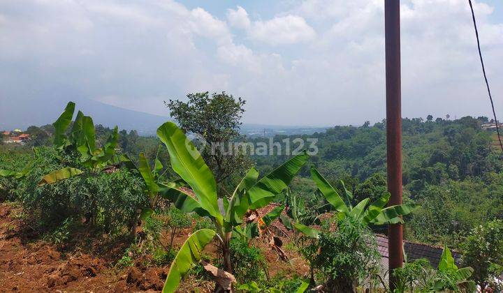 Tanah murah rata untuk villa+rumah full view ke gunung  2