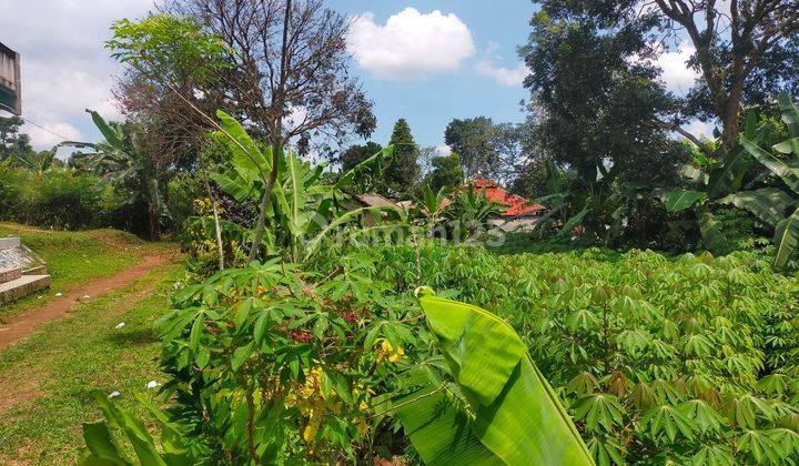 Tanah kebun untuk investasi+villa sangat strategis view lepas 1