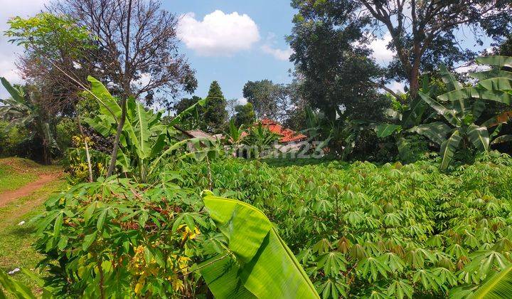 Tanah kebun untuk investasi+villa sangat strategis view lepas 2