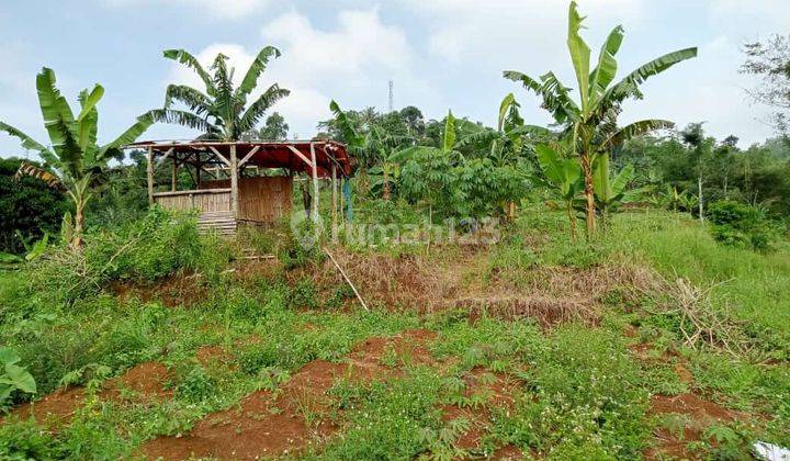 Tanah murah untuk kebun+villa+investasi view gunung+kota 2