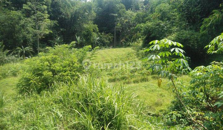 Tanah murah investasi+kebun+villa sangat strategis view lepas 2