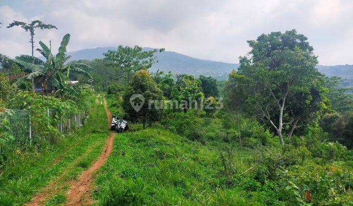 Tanah murah rata untuk Rumah+villa sangat strategis view gunung 1