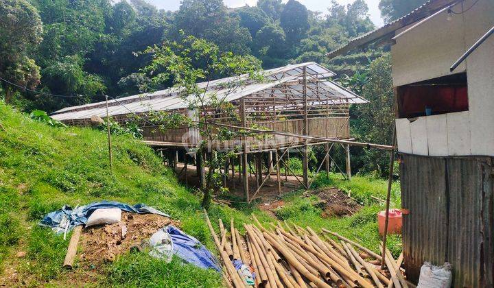 Tanah kandang ayam+bebek siap pakai sangat strategis view lepas 1