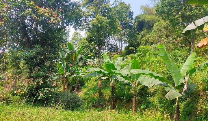 Tanah murah untuk kebun investasi+rumah strategis view lepas  1