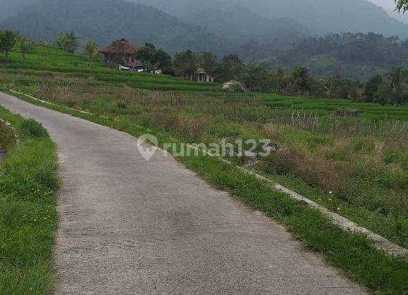 Tanah murah sawah sangat strategis view lepas ke gunung  1