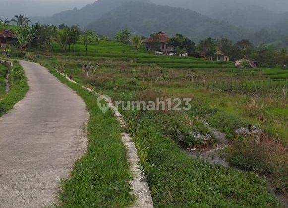 Tanah murah sawah sangat strategis view lepas ke gunung  2