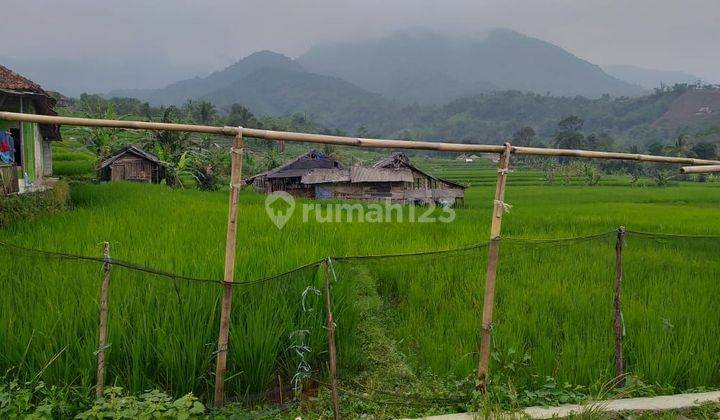 Tanah sawah murah sangat strategis view lepas ke gunung  1