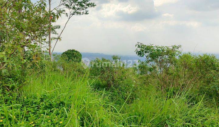 Tanah murah full view sangat strategis untuk villa+glamping  1