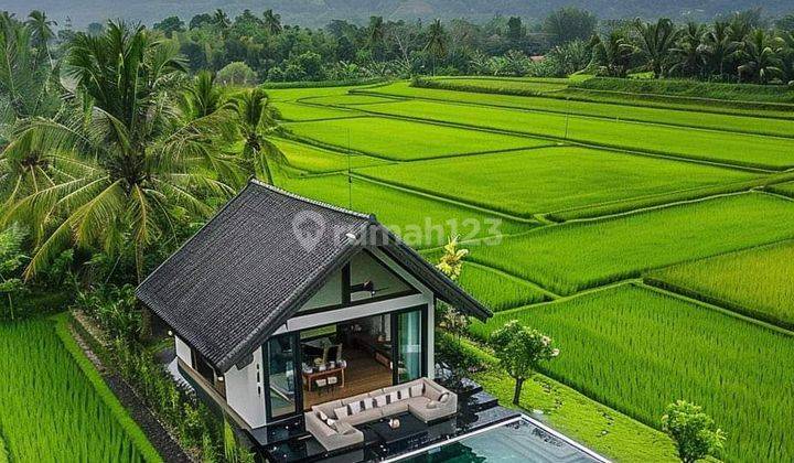 Tanah sawah untuk villa+Rumah sangat strategis view lepas gunung 1