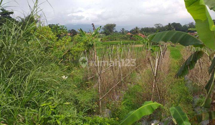 Tanah rata sangat strategis view lepas ke gunung  2