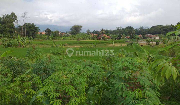 Tanah rata sangat strategis view lepas ke gunung  1