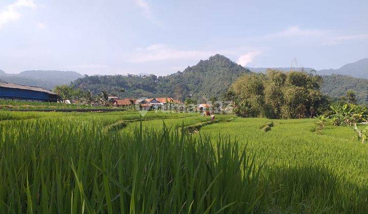 Tanah sawah produktif sangat strategis view lepas ada kali sungai 1