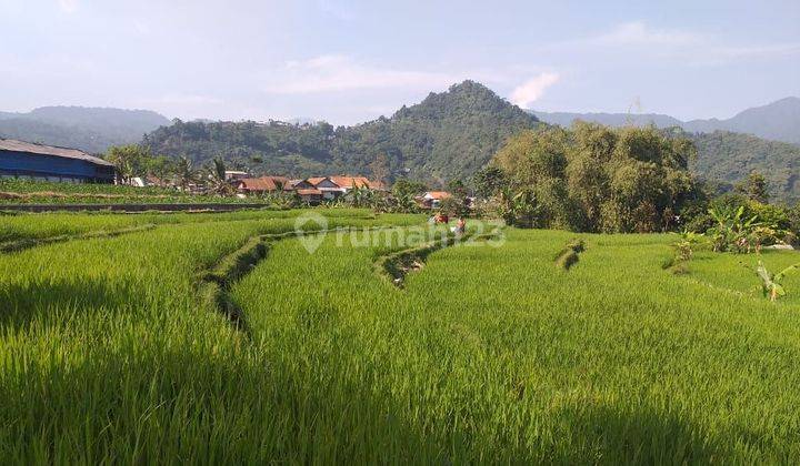 Tanah sawah produktif sangat strategis view lepas ada kali sungai 2