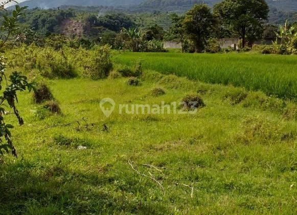 Tanah sawah produktif murah strategis view lepas ke gunung salak 1