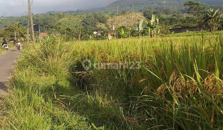 Tanah sawah produktif murah strategis view lepas ke gunung salak 2