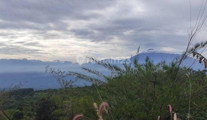 Tanah murah dekat cafe boja untuk villa+rumah sangat strategis 1