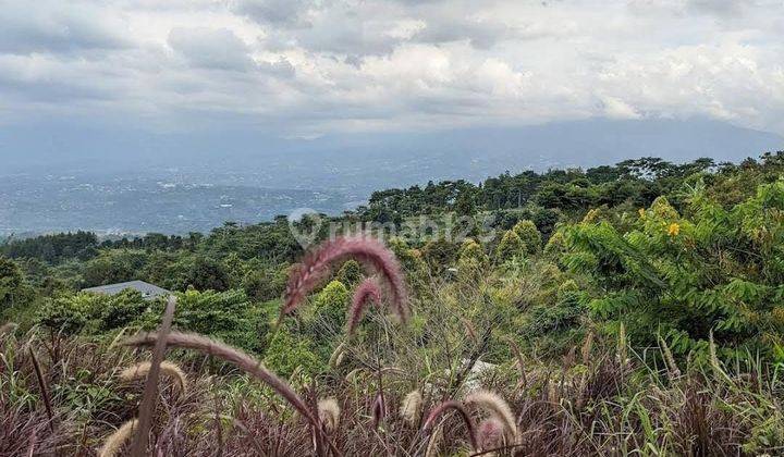 Tanah murah dekat cafe boja untuk villa+rumah sangat strategis 2