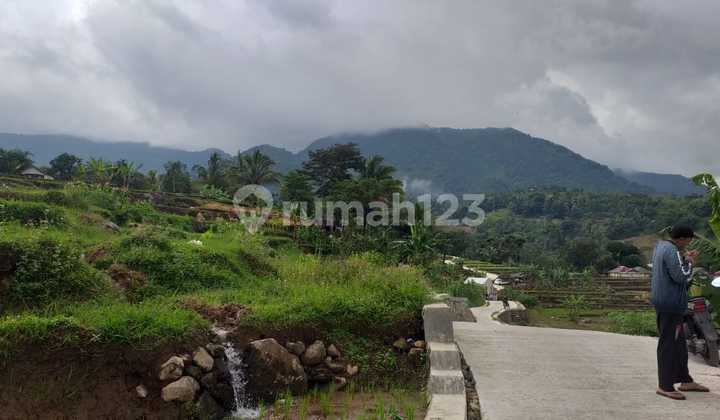 Tanah Sawah Produktif Sangat Strategis View Lepas Gunung 