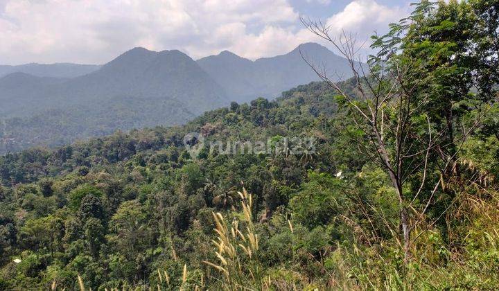 Tanah Untuk Investasi+Wisata+Glamping Sangat Strategis View Lepas 1