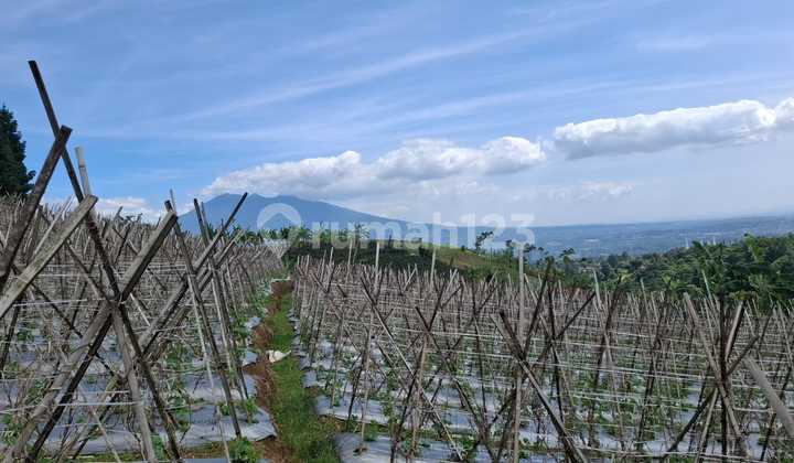 Tanah Bagus Sangat Strategis View Lepas Gunung Dekat Cafe Daong