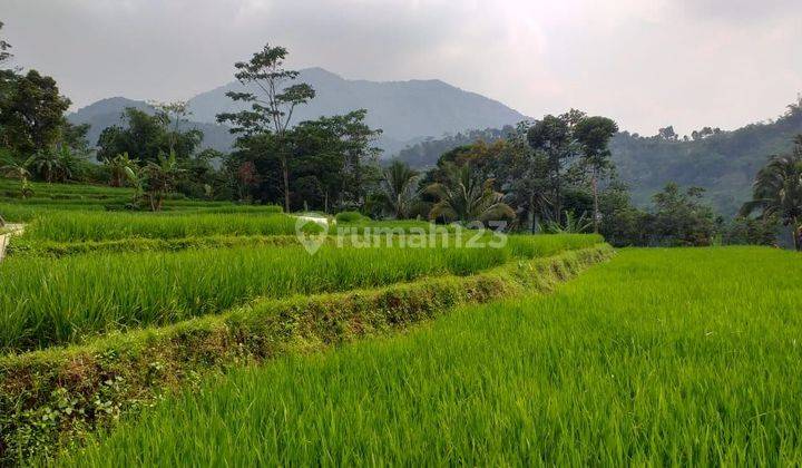 Tanah Sangat Strategis View Lepas Ke Gunung Untuk Villa 2