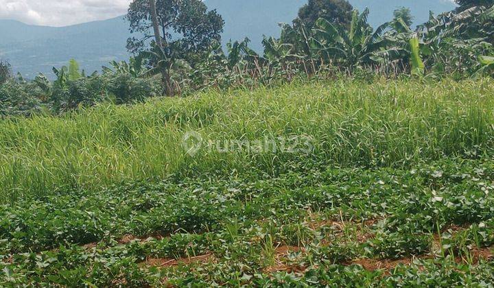 Tanah Rata View Lepas Untuk Villa+Rumah View Lepas Ke Gunung  1