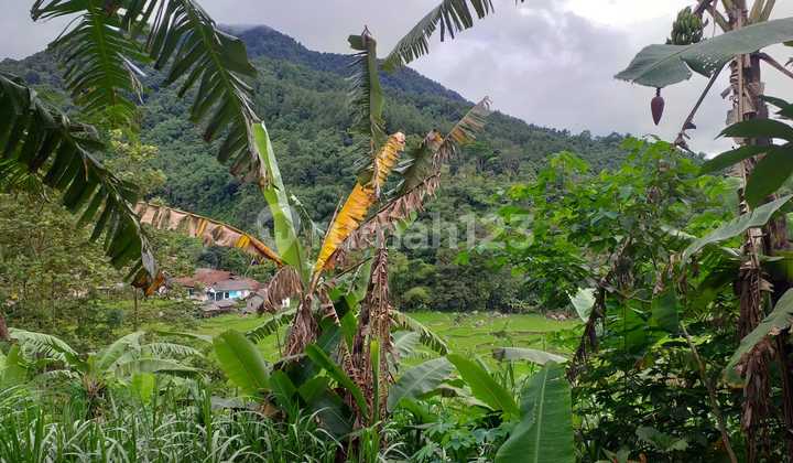 Tanah Kebun Bagus View Gunung Nempel Wisata
