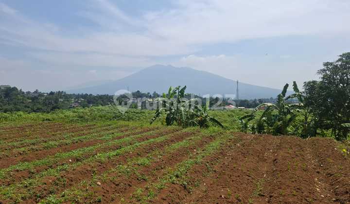 Tanah Sawah View Lepas 2 Gunung Sangat Strategis 