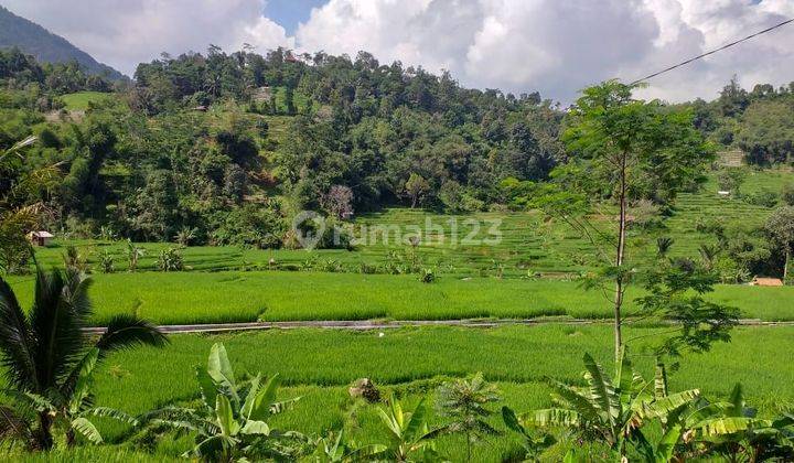 Tanah Untuk Perikanan+Villa View Lepas Sangat Strategis  1