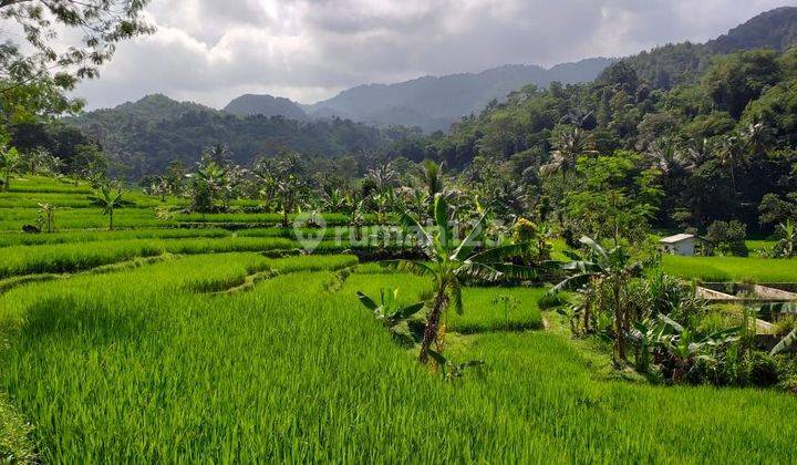 Tanah Untuk Perikanan+Villa View Lepas Sangat Strategis  2