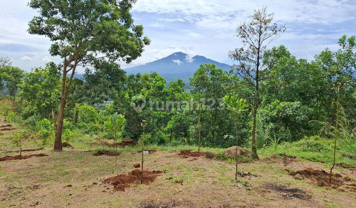 Tanah Untuk Wisata+cafe+resort+glamping Strategis View Lepas  2