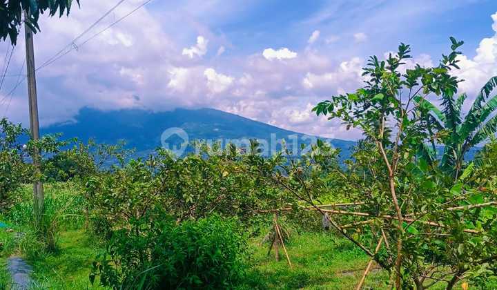 Tanah Bagus Rata View Lepas Gunung Salak Sangat Strategis