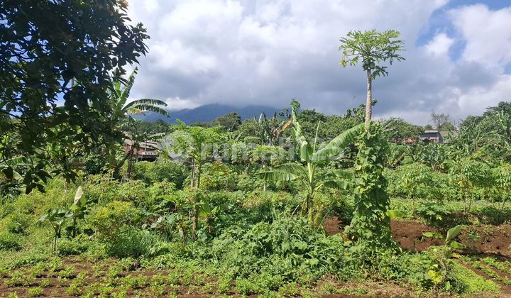 Land Near Main Road with Open City and Mountain View