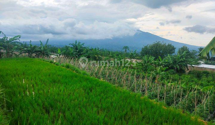 Tanah Sawah Bagus View Lepas Gunung Sanggar Asri 2